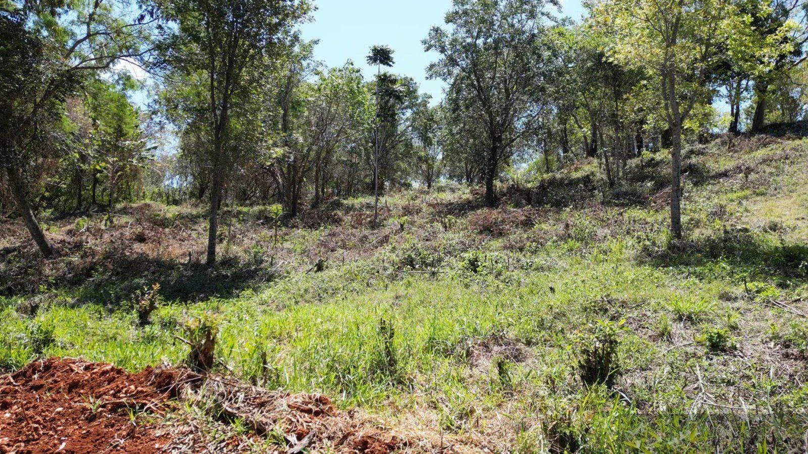 Three Building Lots for Sale in La Mulata, Sosúa | Development Potential — photo 5