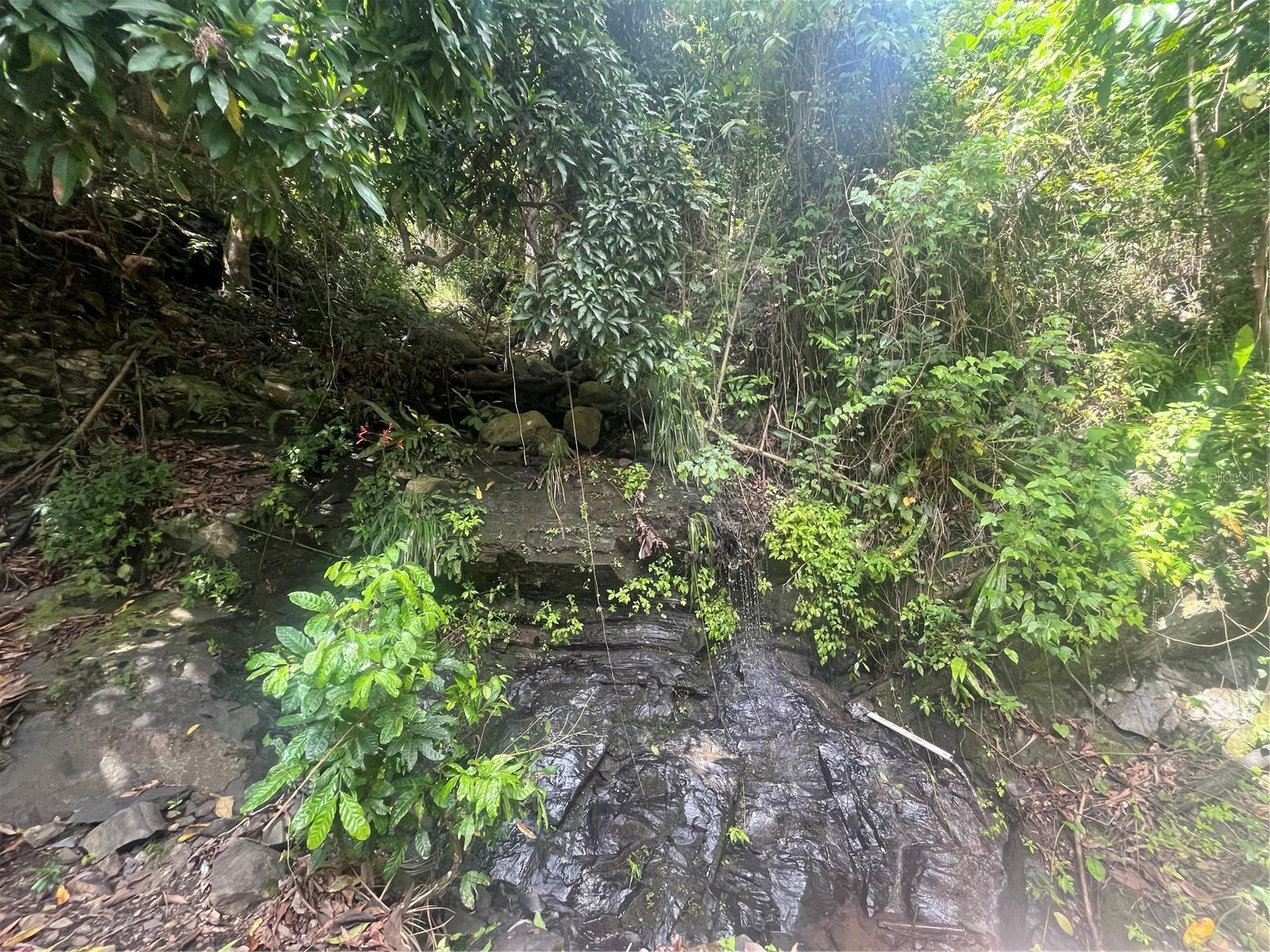30 cuerdas of natural beauty to farm or for your agrotourism project — photo 5