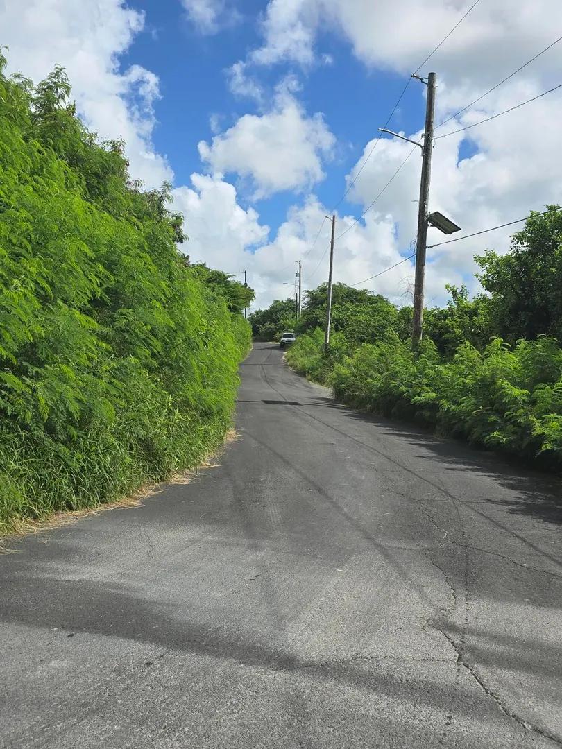 0.57 Acre Homesite Lot in Anna's Hope — photo 3