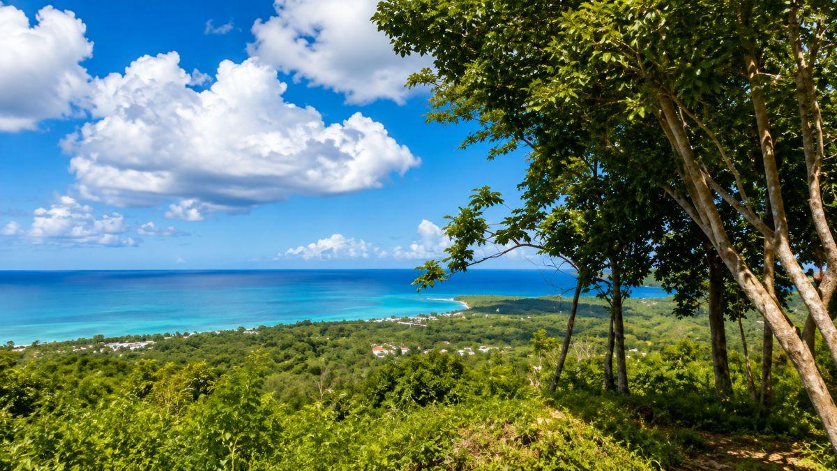 Exceptional 2,672 m² Building Plot with 180° Panoramic Sea Views - Las Terrenas — photo 1