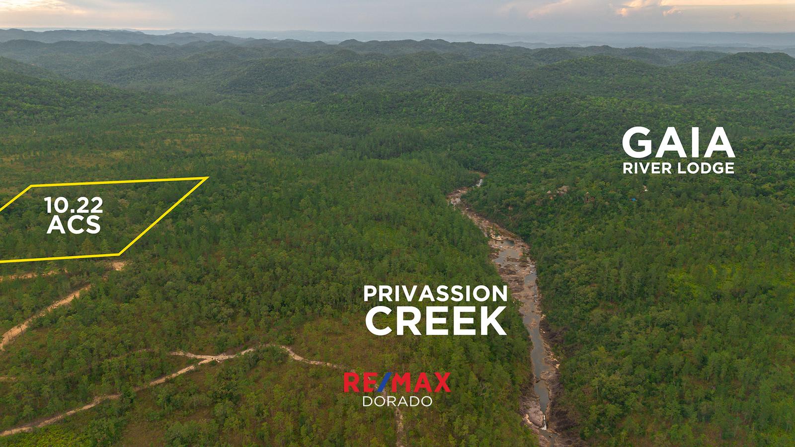 10.22 Acres of Mountain Pine Paradise – Mountain Pine Ridge, Belize — photo 5
