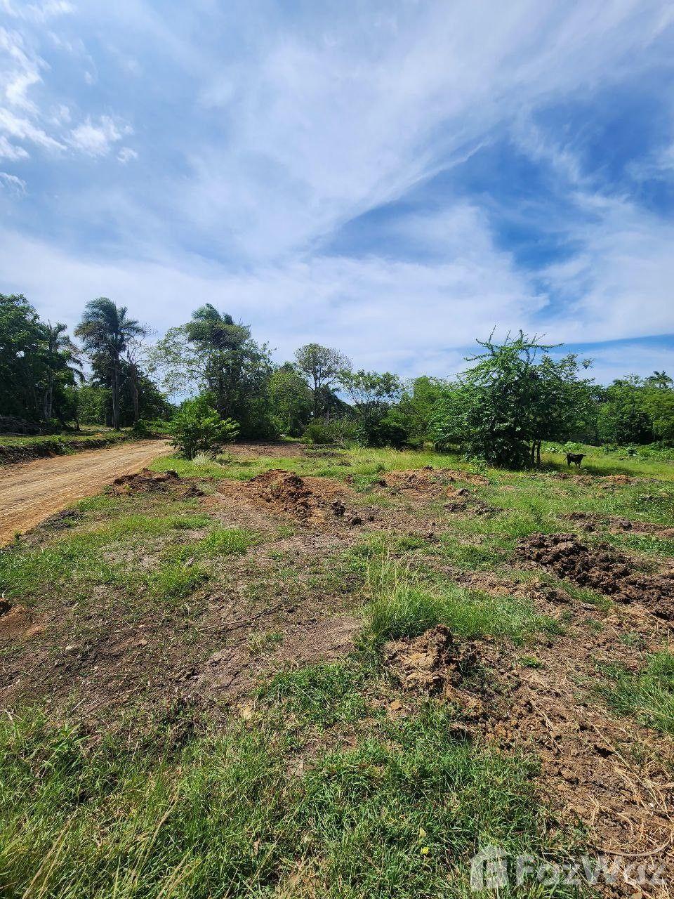 Land for sale in Muñoz, Puerto Plata — photo 4