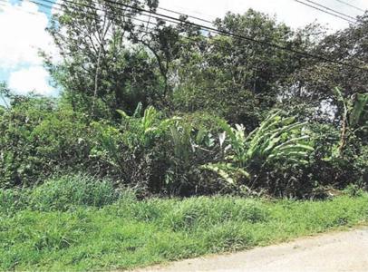 APPROVED LAND FOR SALE (3 ACRES) - SHIVAN DRIVE, SANGRE CHIQUITO, TRINIDAD — photo 5