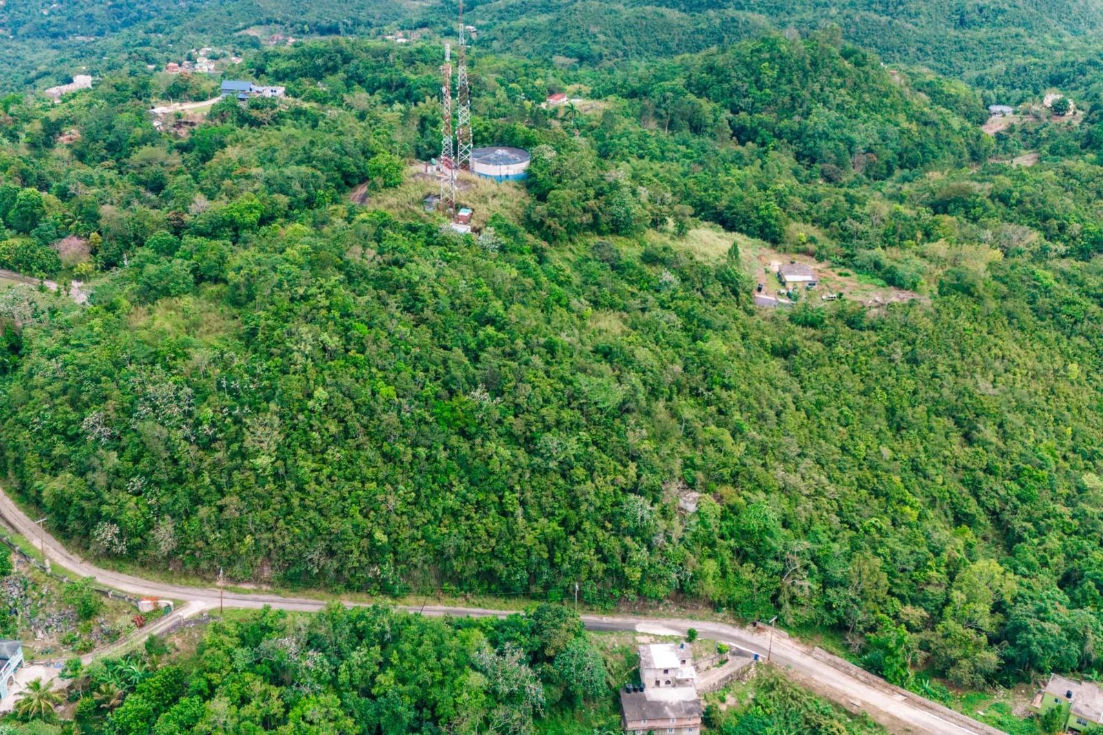 0.18 Acres of Residential Land for Sale in Cooper's Hill, Red Hills, Kingston — photo 5