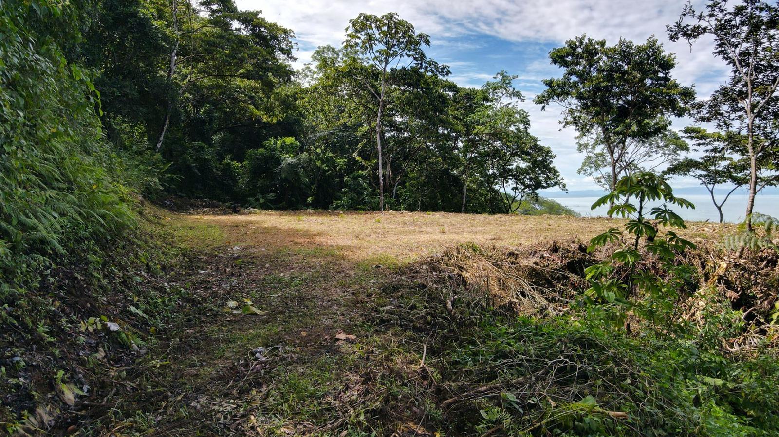 4.2 Acre Lot for Sale in Costa Verde Estates, Escaleras, Puntarenas, Costa Rica — photo 3