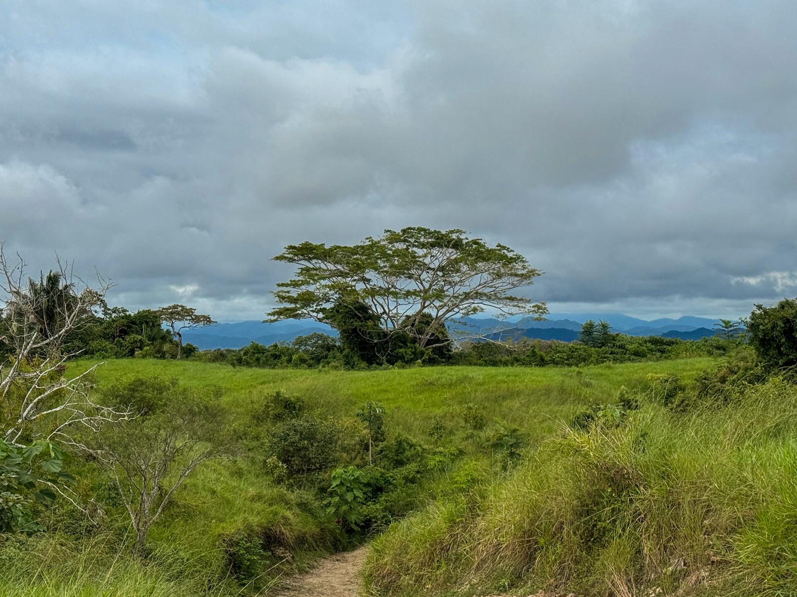 1.24 Acre Ocean-View Lot for Sale, The Ark, Santa Teresa, Costa Rica — photo 3