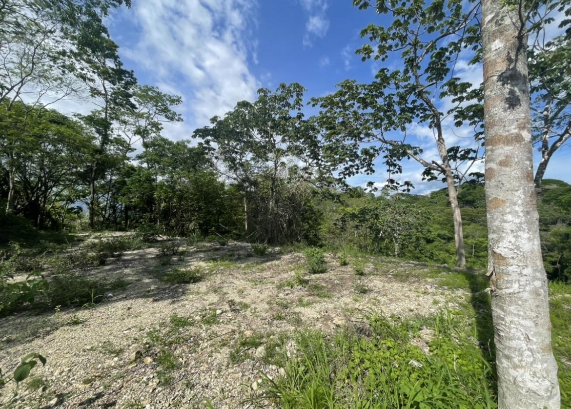 0.69 Hectare Ocean-View Commercial Lot for Sale — photo 4