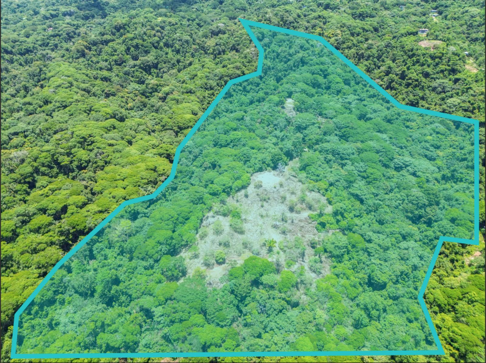 61.78 Acres of Farm Land for Sale, Escaleras, Dominical, Puntarenas, Costa Rica — photo 3