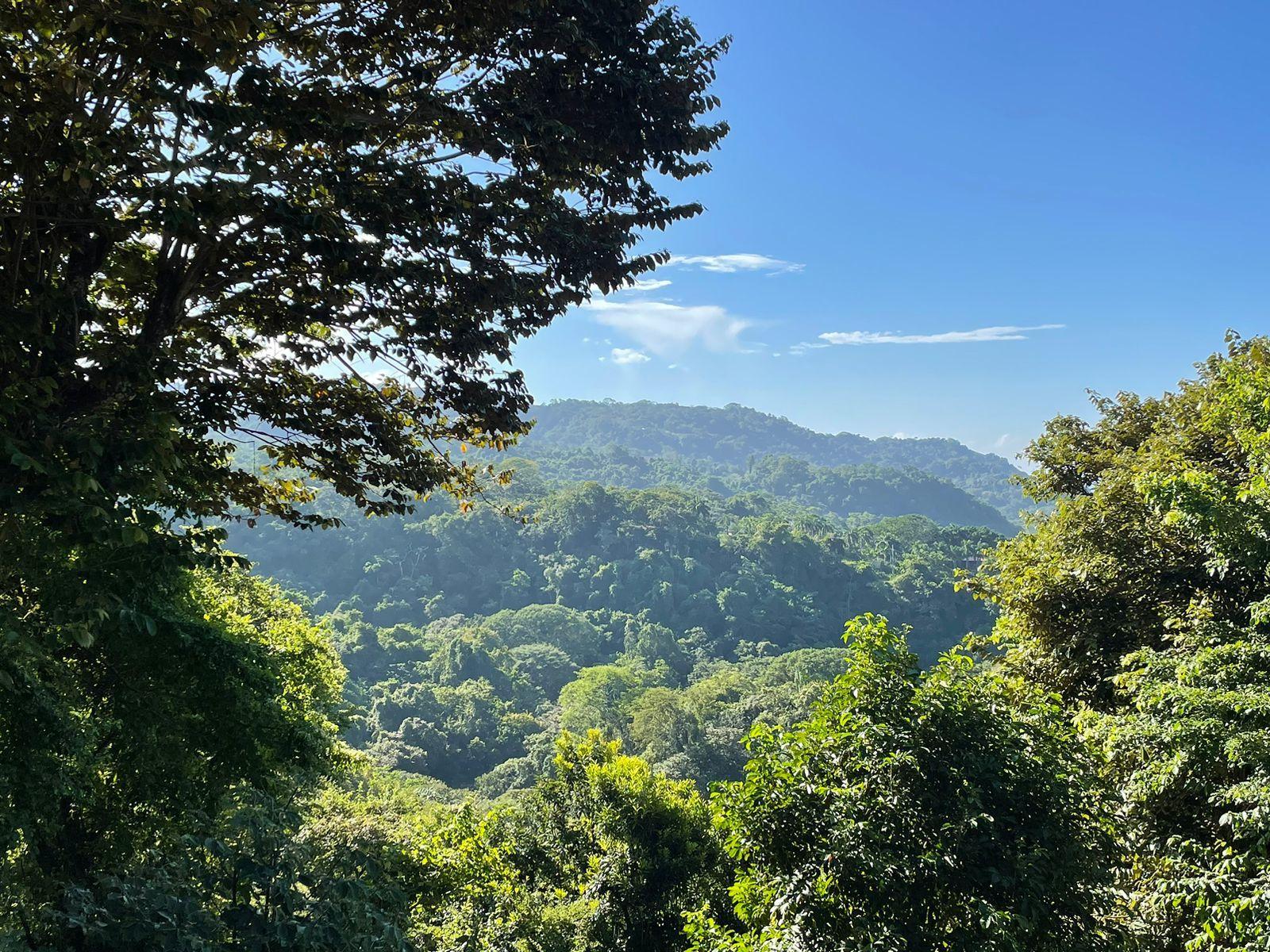 5.46 Hectares of Land for Sale in Mal Pais, Puntarenas, Costa Rica — photo 3