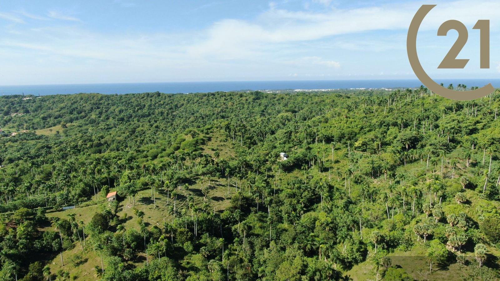 Oceanview Potential Development Lot in Lomas de los Chivos, Sosúa — photo 1