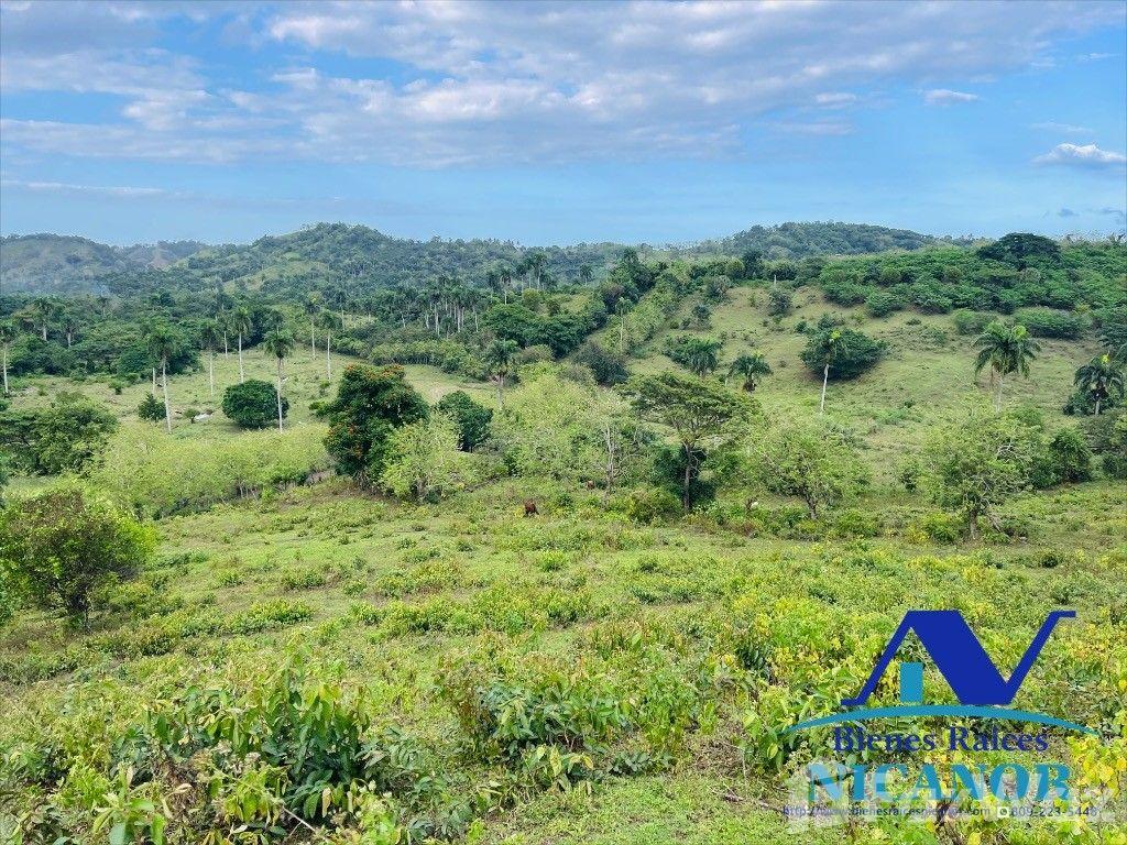 Cattle farm for sale, 2,300 tareas and up in San Felipe De Puerto Plata — photo 2