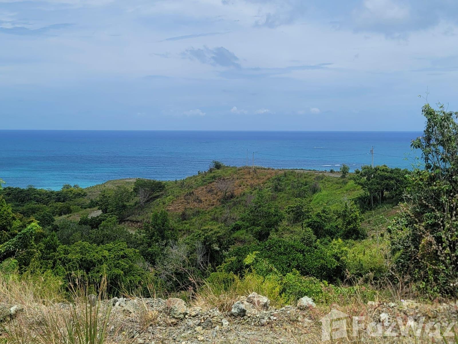 1,120 SqM Land for Sale in Gaspar Hernandez — photo 3