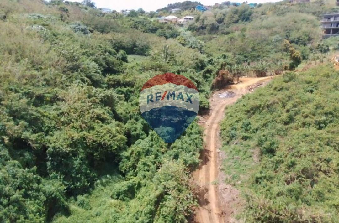 PERUVIAN VALE SEA VIEW LOT — photo 5