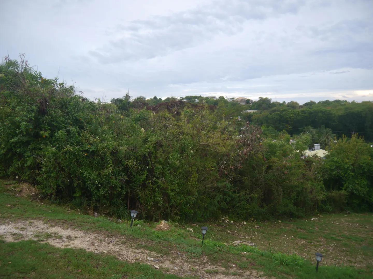 0.27 Acre Homesite in Sion Farm — photo 2