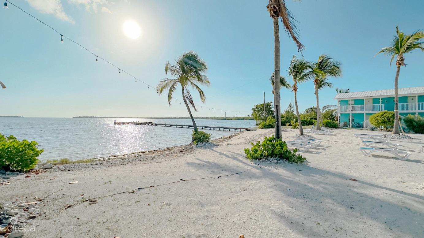0 bathroom, 3.3 acre oceanfront development site in Little Cayman, Cayman Islands — photo 4
