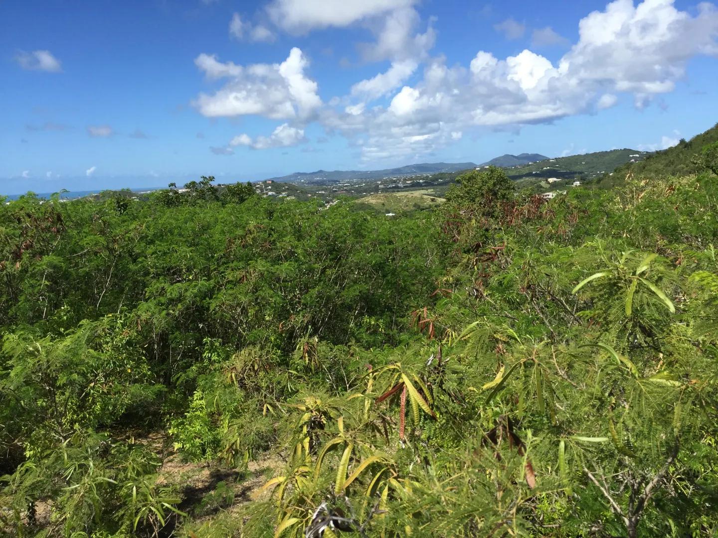 11 Yellow Cliff Eb — photo 1