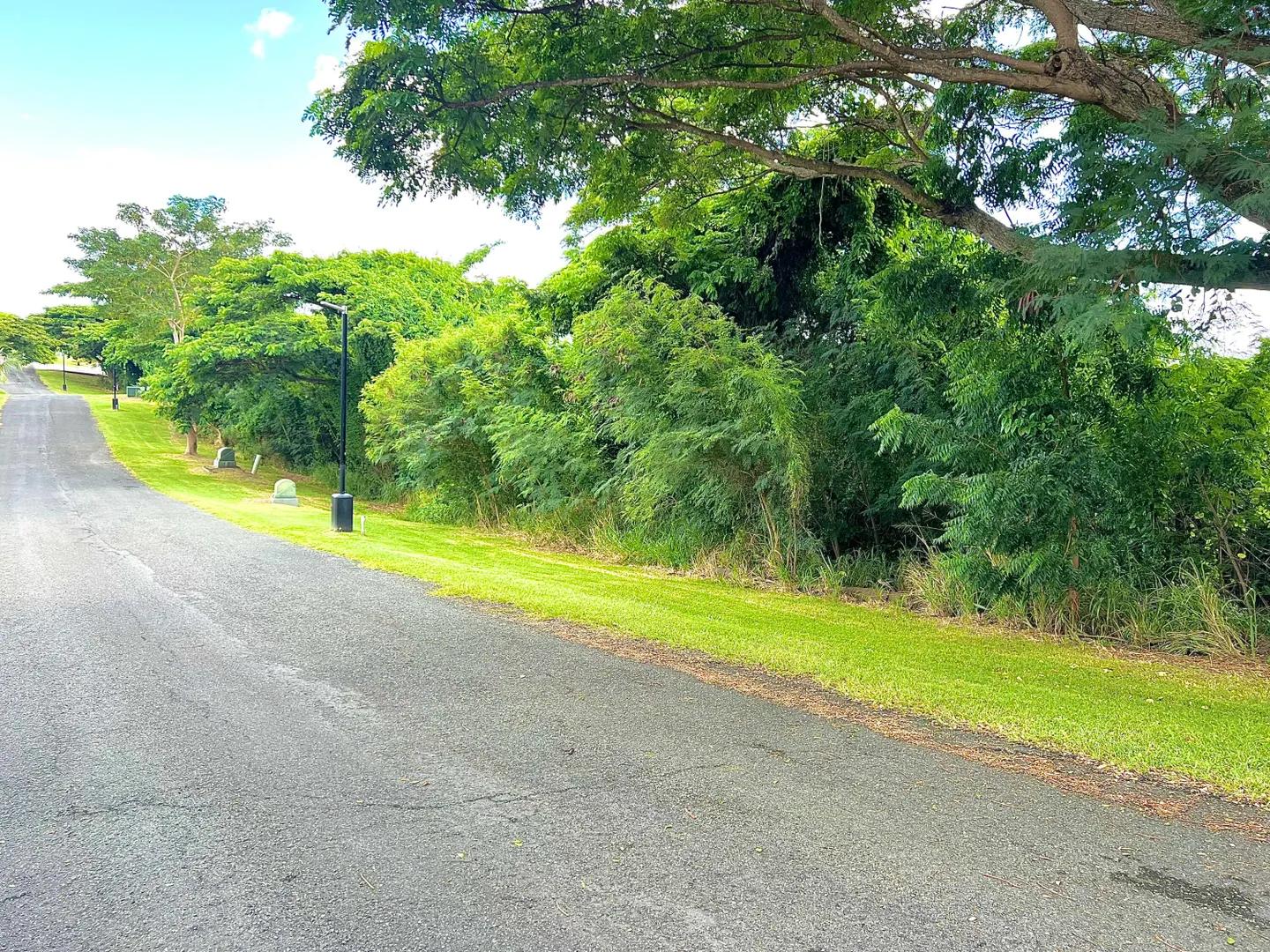 0.66 Acre Homesite in Carambola Golf Course — photo 5
