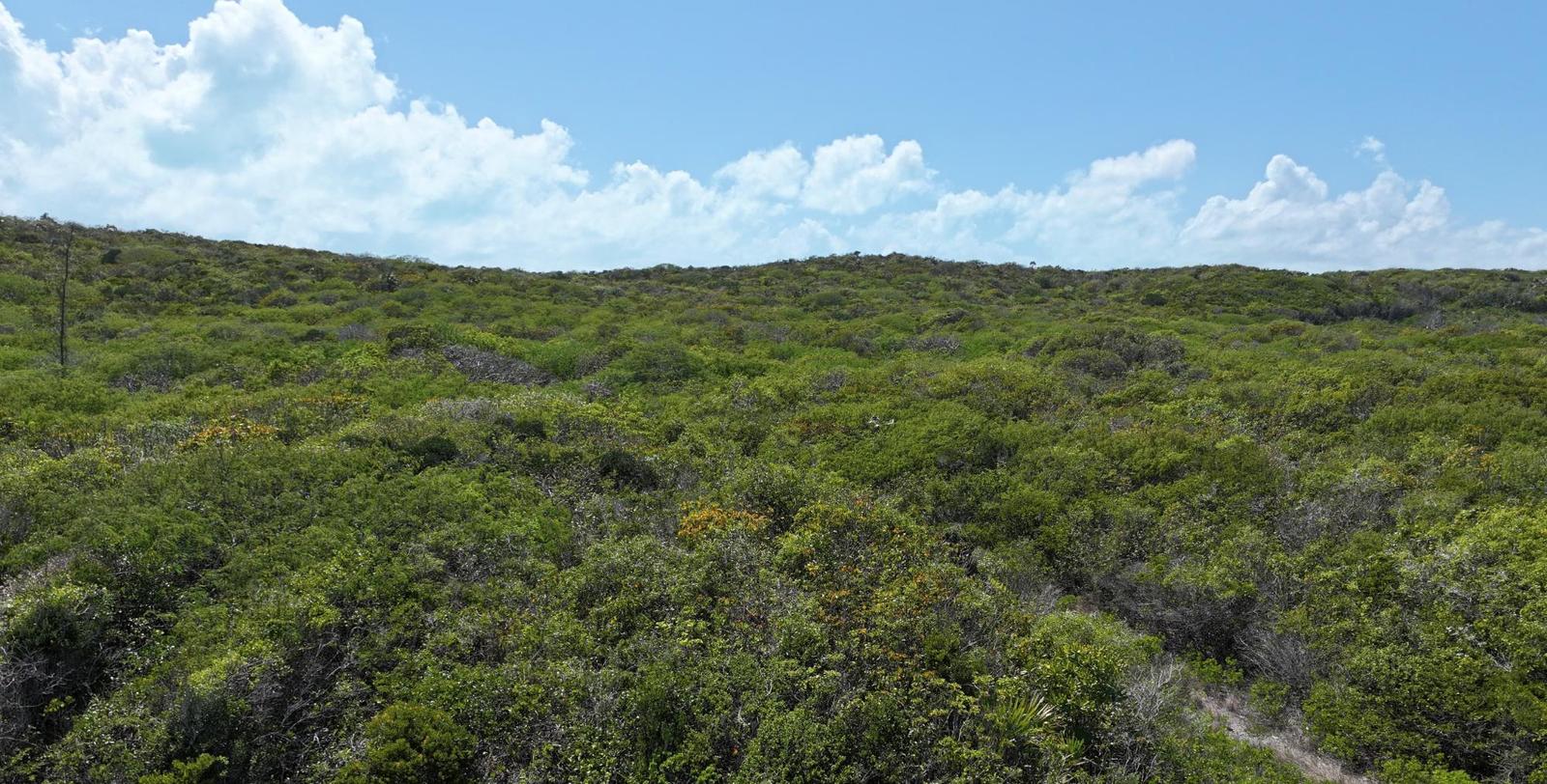 29.5 ACRES SUNRIDGE ESTAT — photo 3