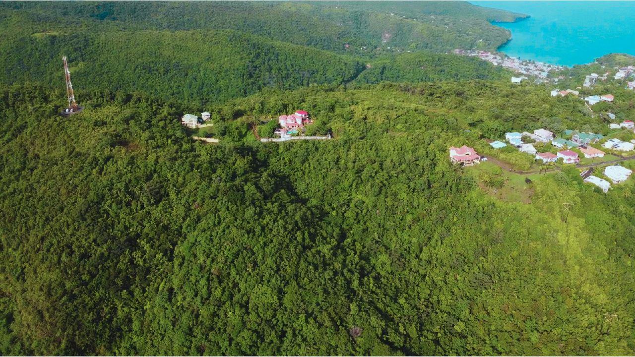 Prime Development Land in Massacre, Anse-la-Raye — photo 5