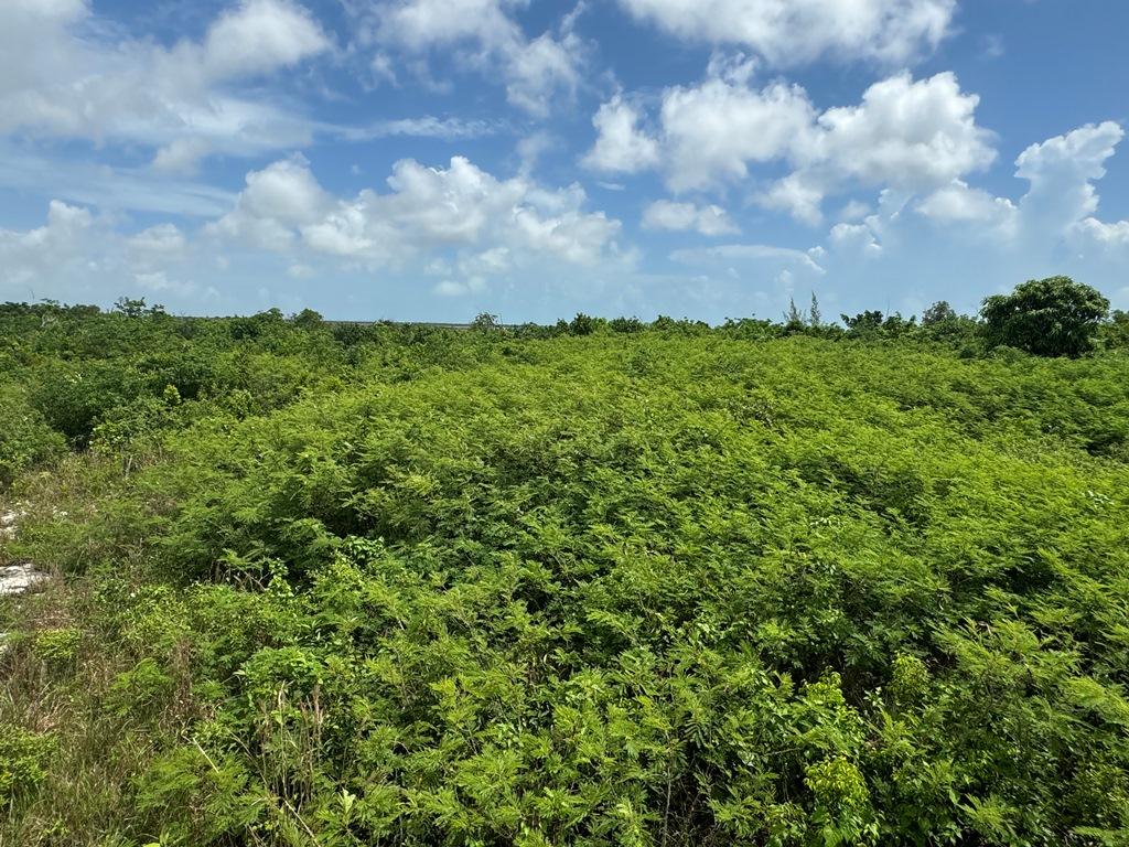 Vacant Land for sale - Lot 38b Sweetings Cay — photo 2
