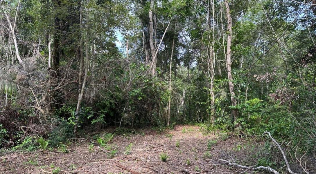 51 Acres on the Swasey River — photo 4