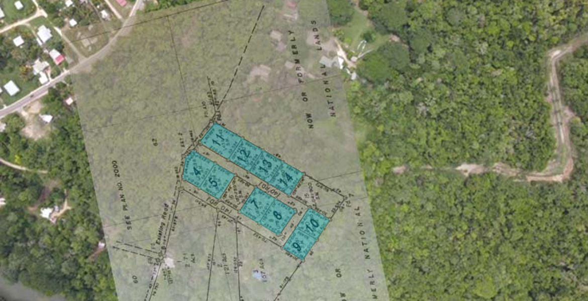 1/4 Acre Lush Jungle Lots — photo 3