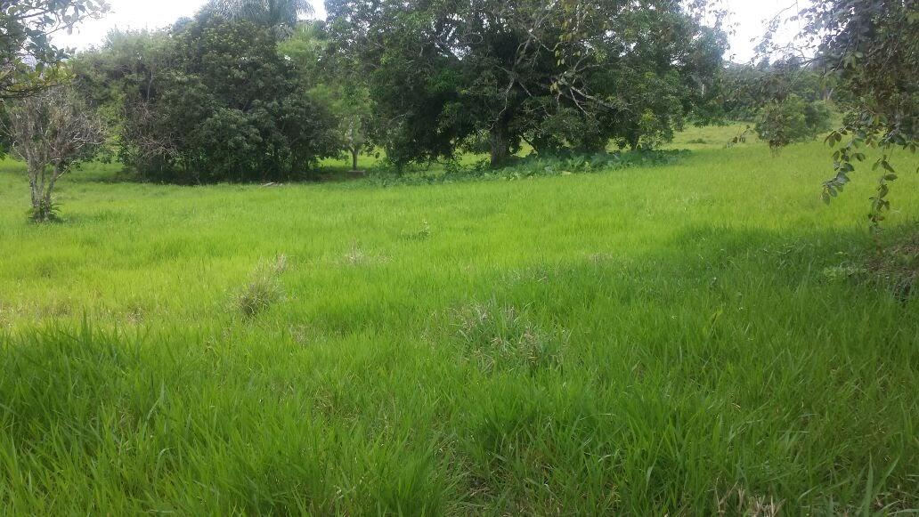 Cattle Farm — photo 5