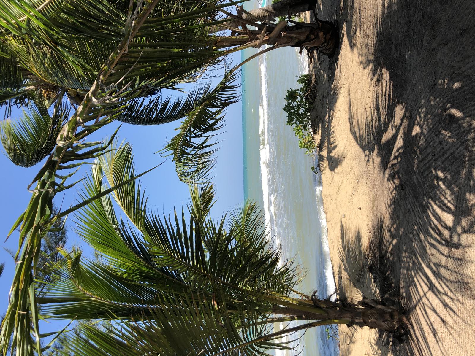 Beach front off grid living — photo 1