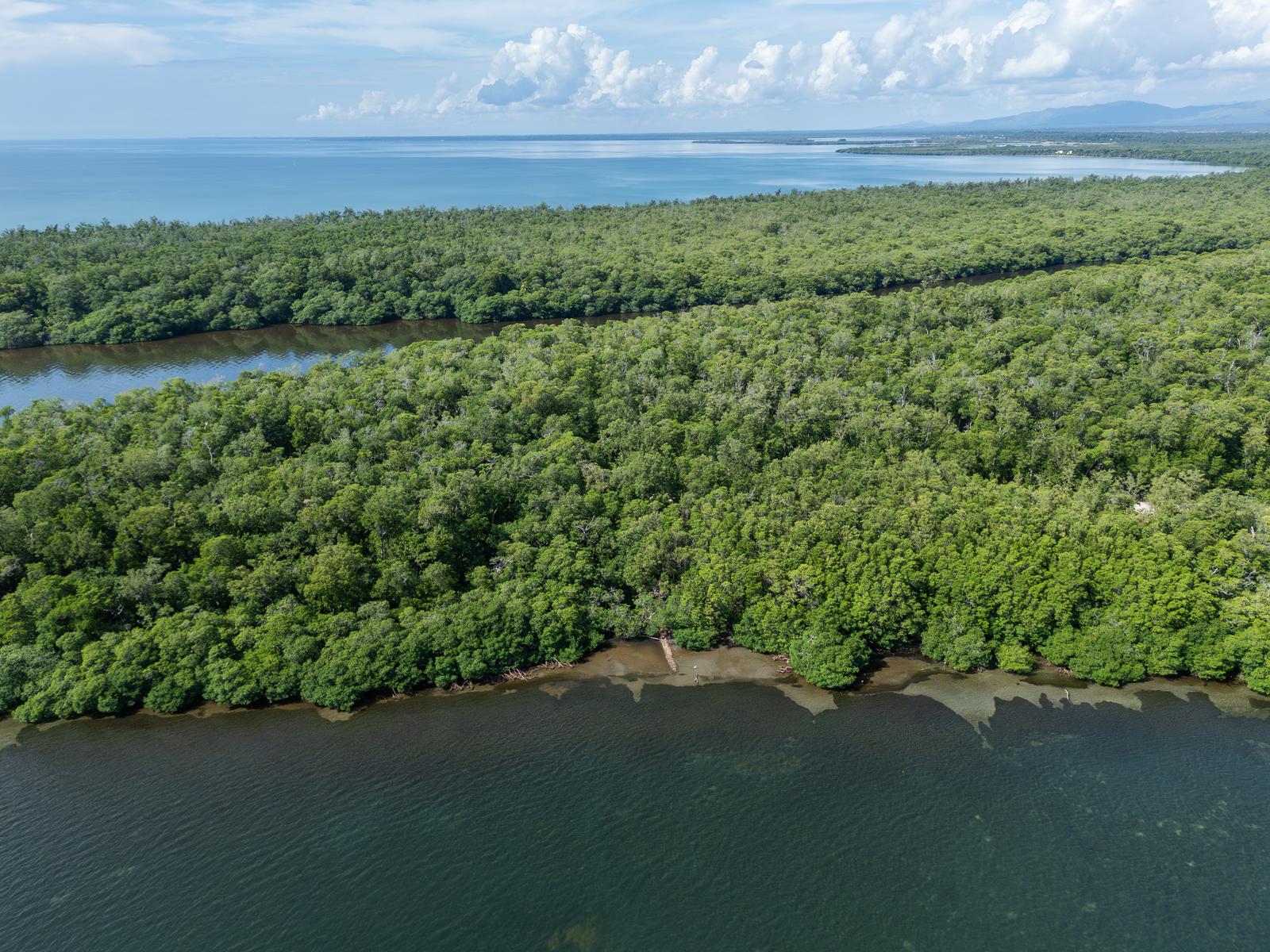 Mangrove Resort and Marina — photo 3