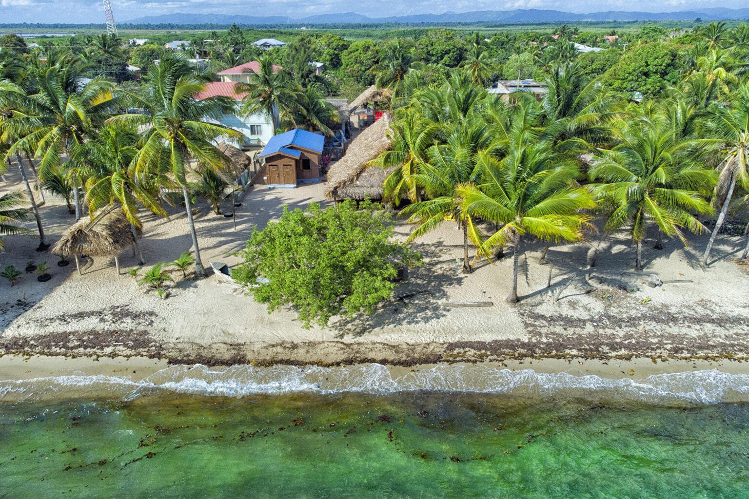 Driftwood Beach Bar & Pizza Shack | Hopkins, Stann Creek District — photo 1