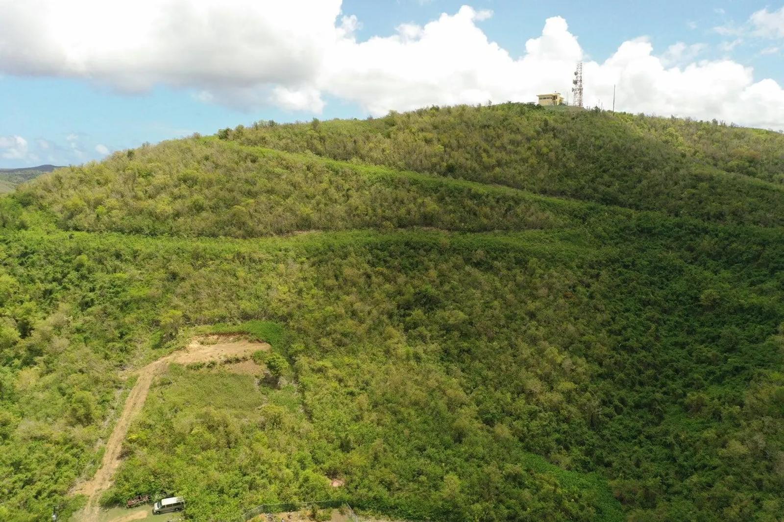44.81 Acre Lot — photo 4