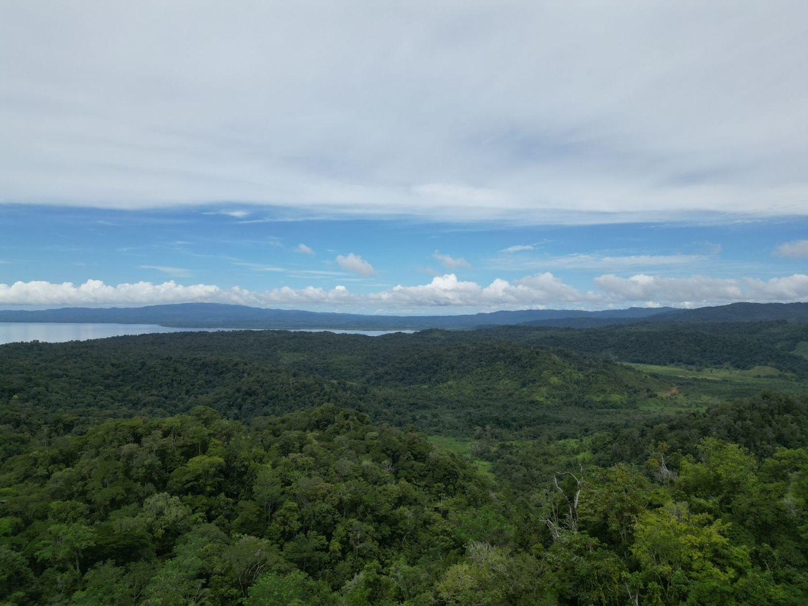 374 Acres of Land for Sale, Osa Peninsula — photo 3