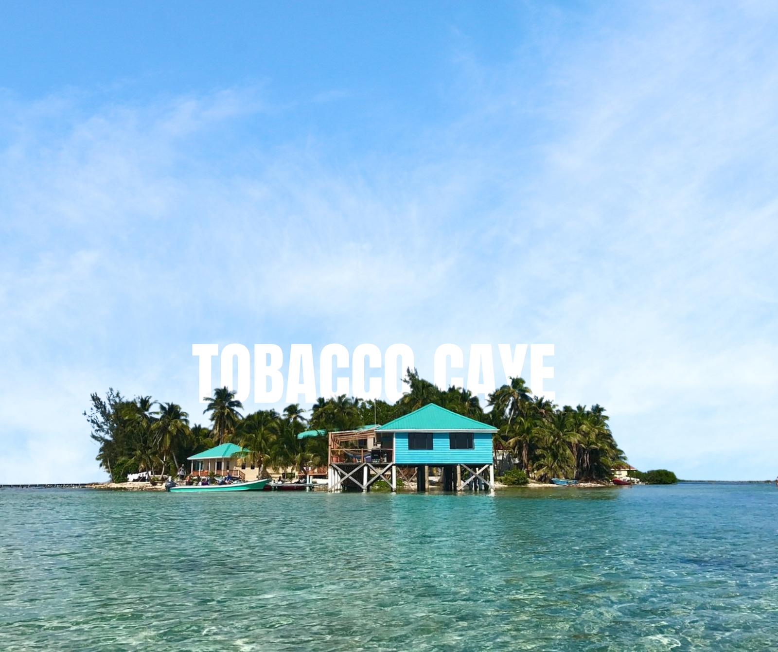 Island Oasis: Prime Interior Lot on Tobacco Caye — photo 2