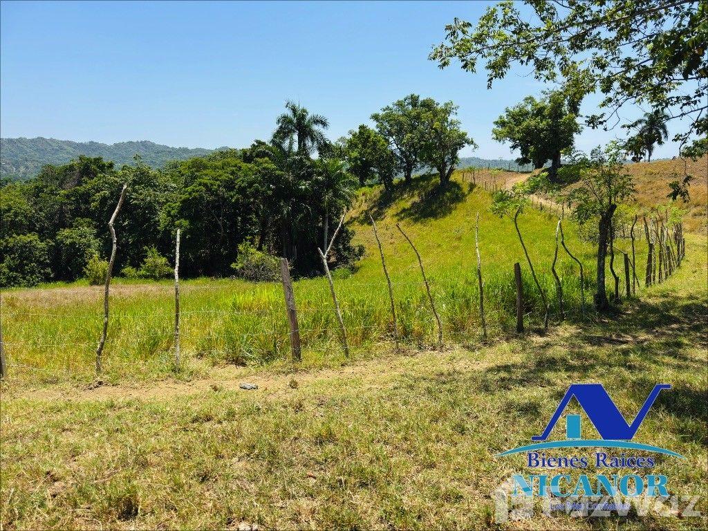846 Acre Farm for Sale in Guananico, Puerto Plata — photo 5
