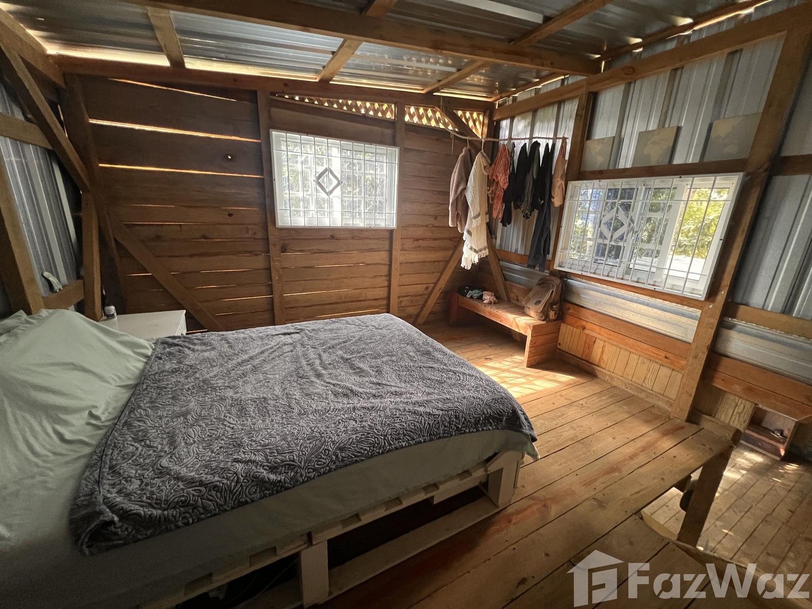Eco & Lush Tropical Tiny House in Playa Encuentro — photo 4