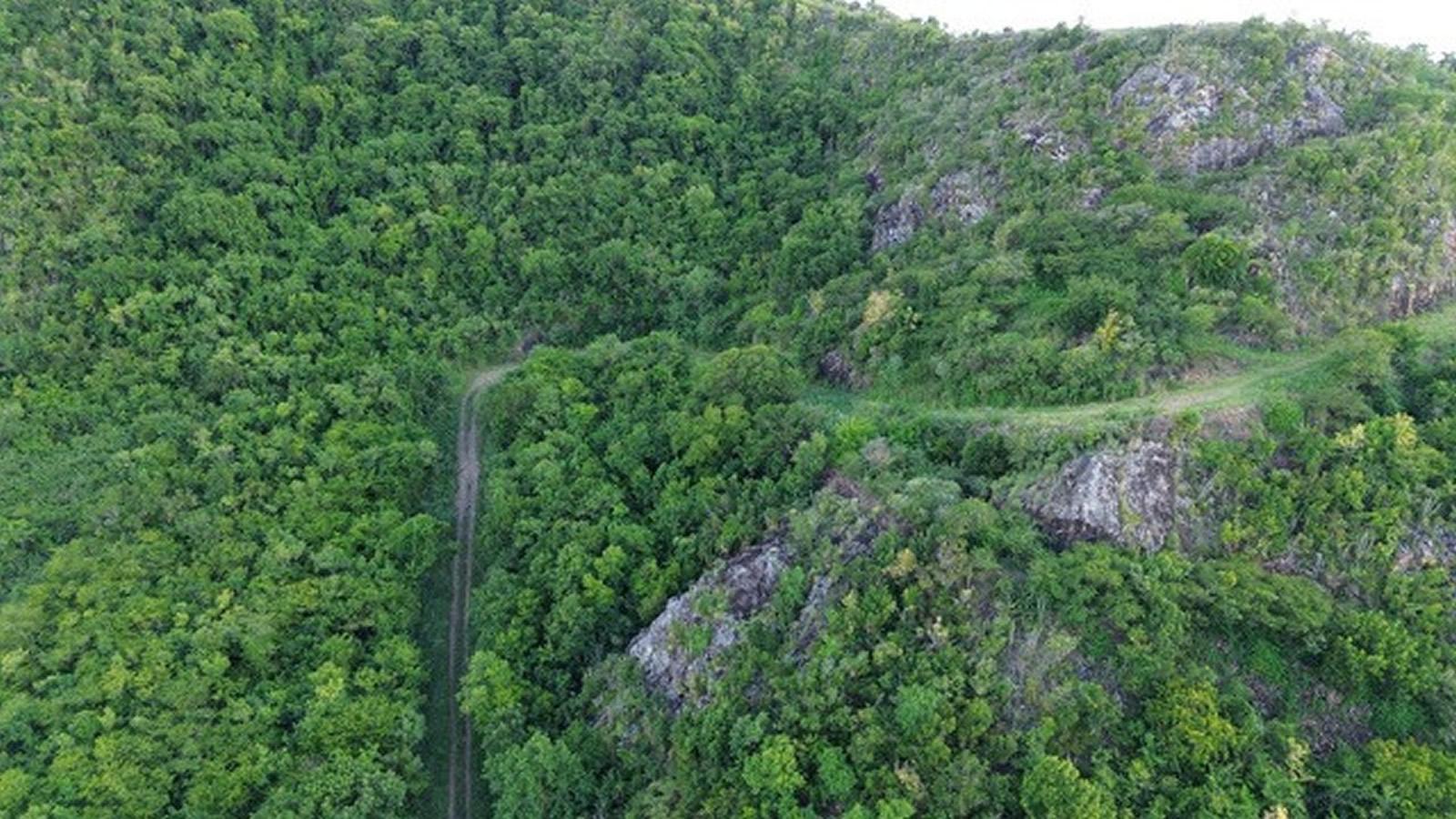 22 Acres of Development Land for Sale, St Mary's, Antigua — photo 4