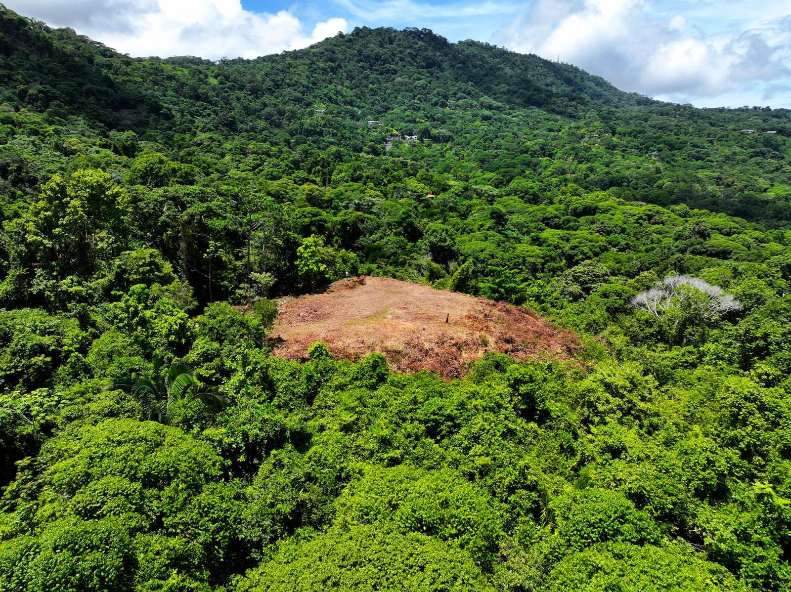 6 Acres of Land for Sale in Escaleras, Dominical, Puntarenas, Costa Rica — photo 4