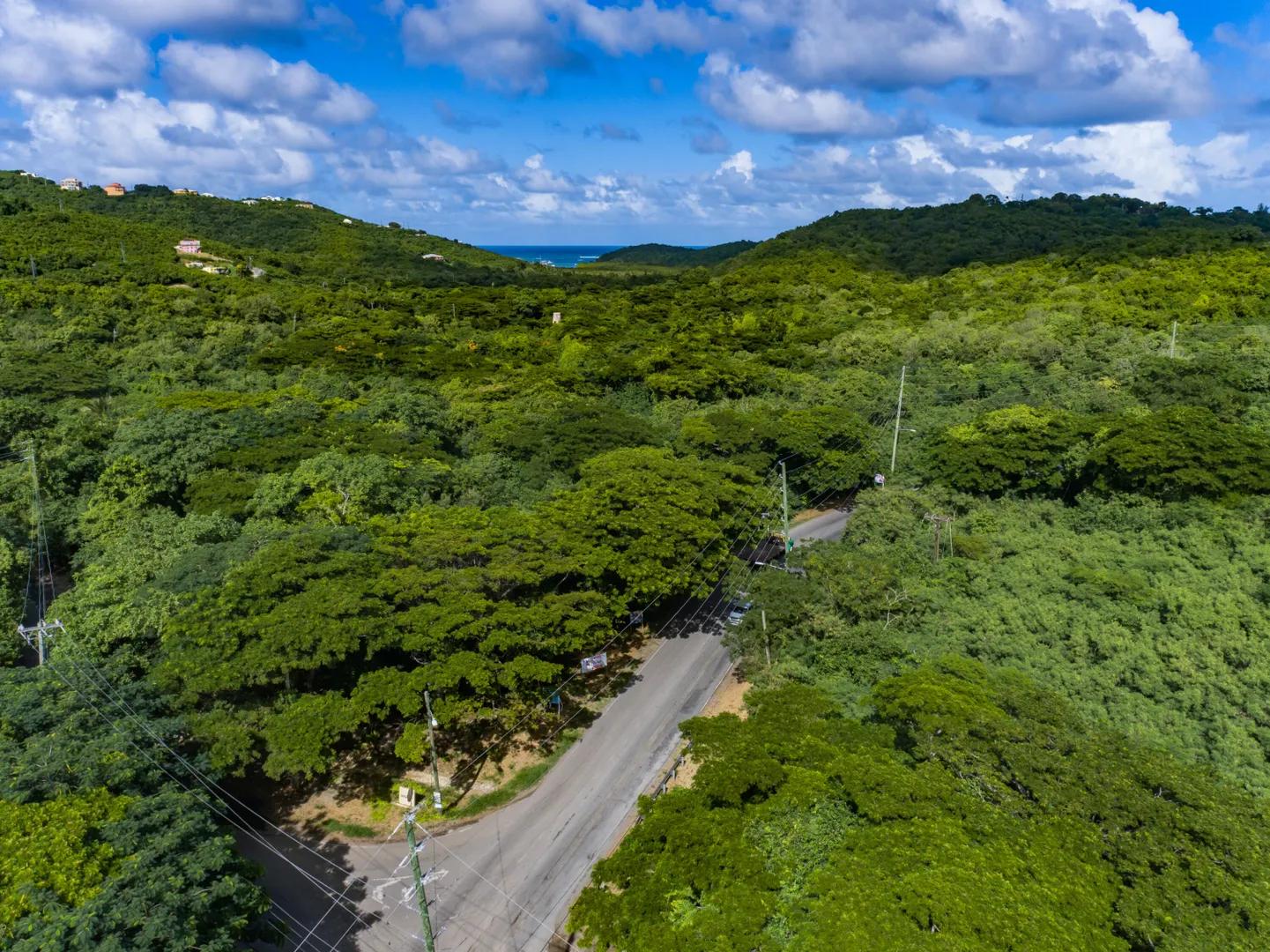 2.65 Acre Lot — photo 5
