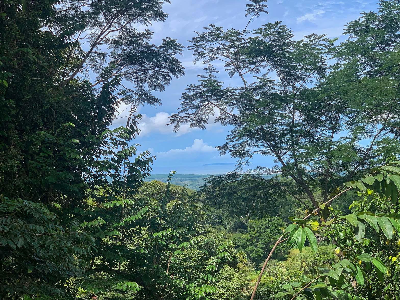 Ocean-view Farm for Sale, Chontales, Ojochal, Puntarenas, Costa Rica — photo 3