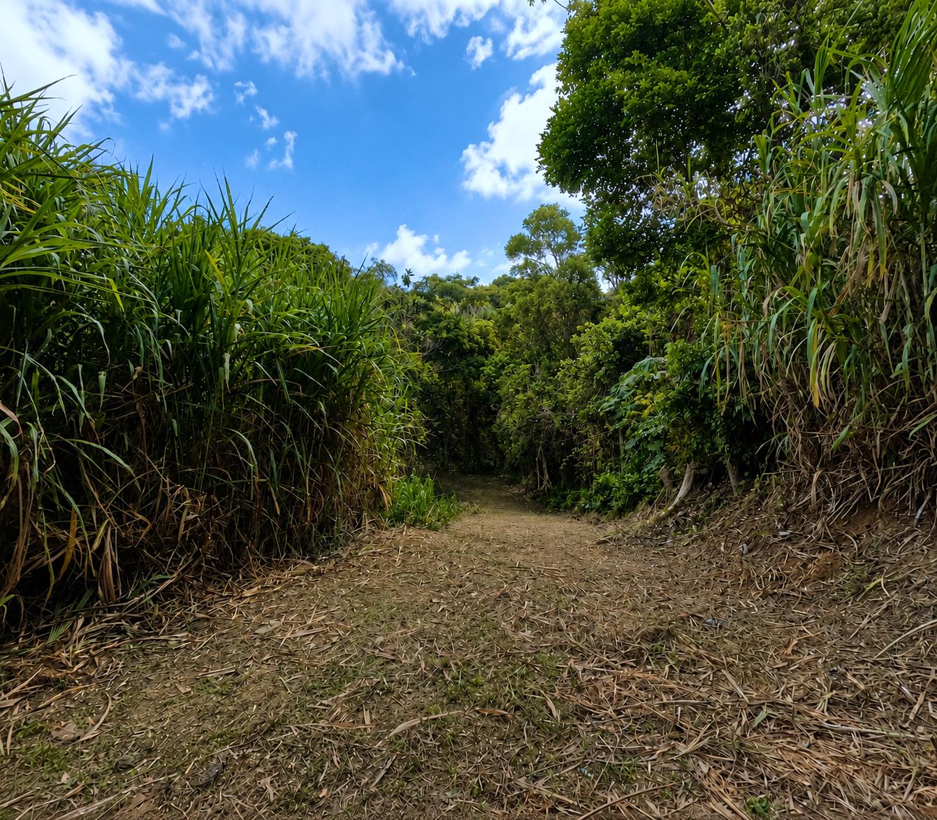 6.22 acres with natural spring — photo 1