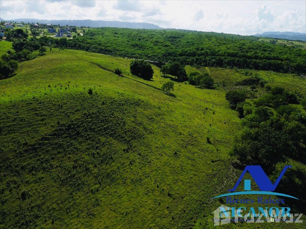 100,000 square meter land for project for sale in Pop — photo 4