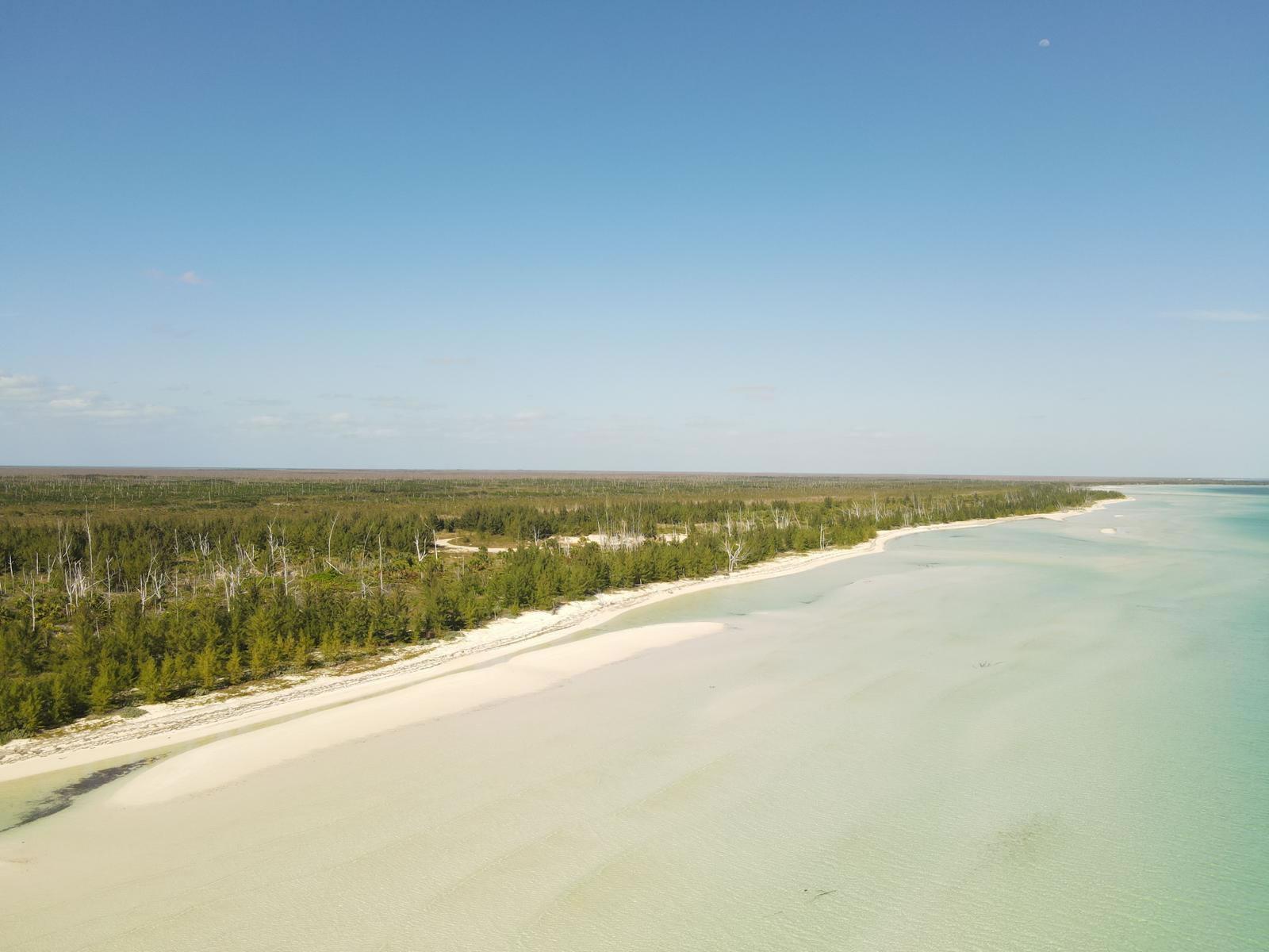 113 Acres of Beachfront Land for Sale, East End, Grand Bahama — photo 4