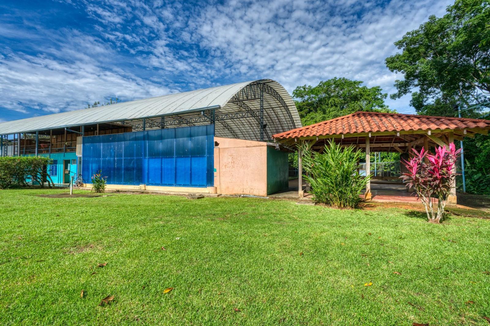 Commercial Plaza for Sale — photo 3