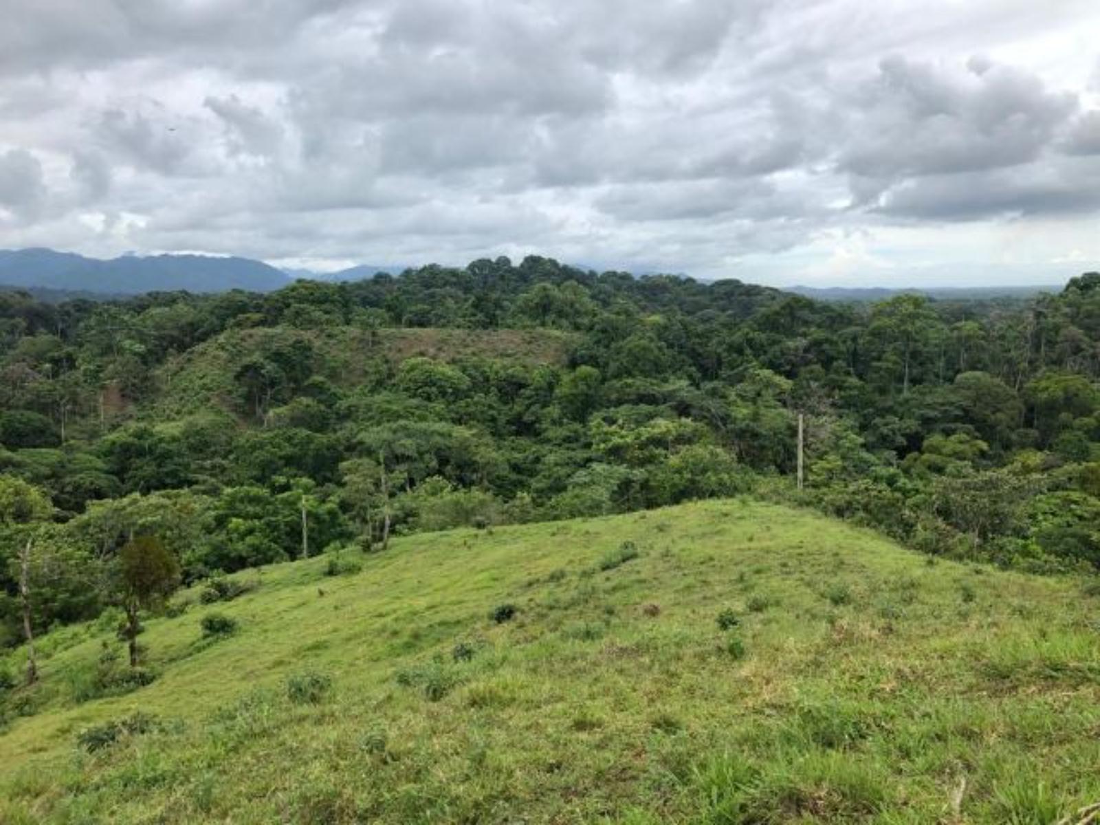 214 Acres Land for Sale in Naranjito, Quepos, Puntarenas, Costa Rica — photo 2