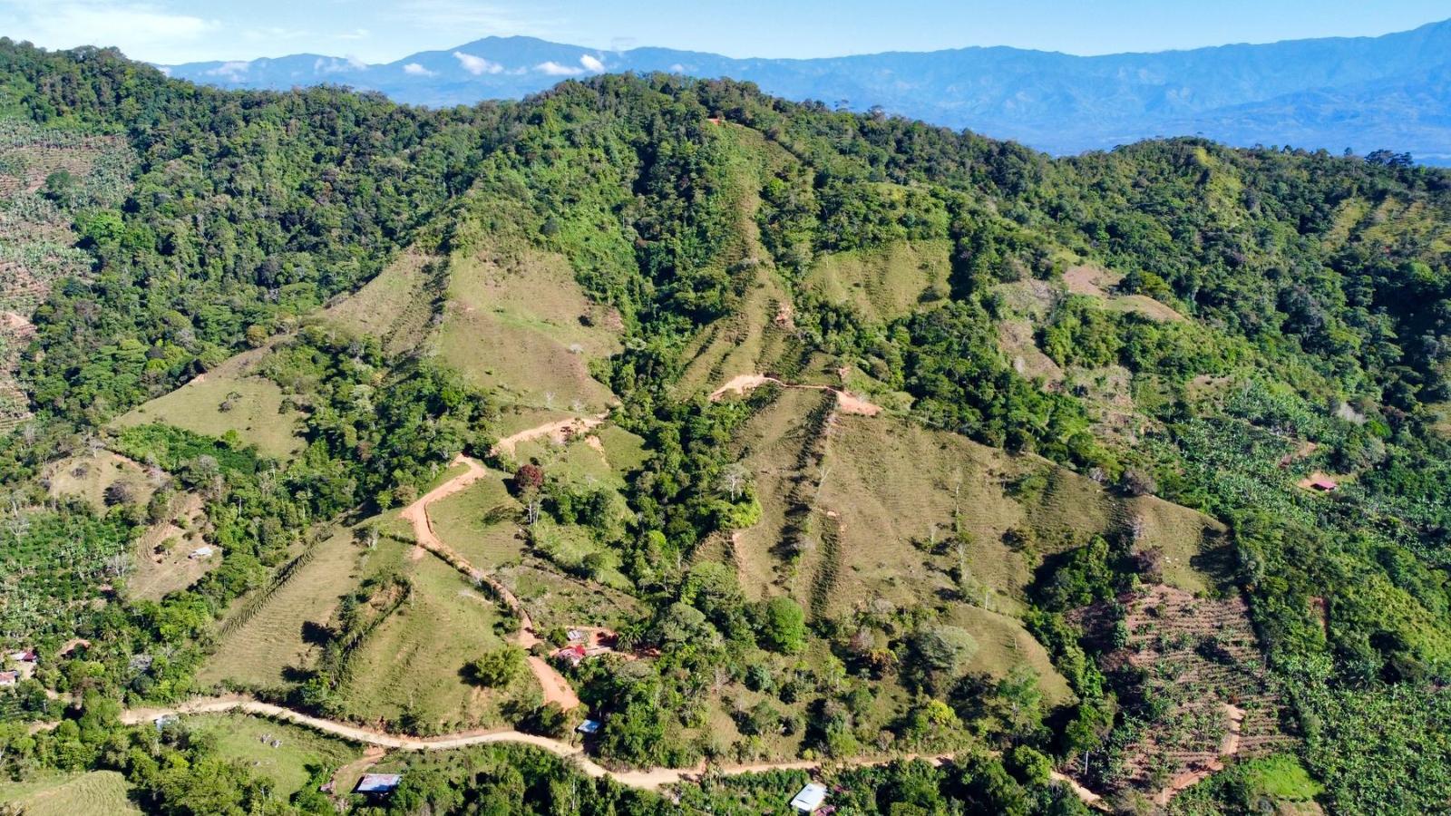 45 Acres of Farm Land for Sale, Uvita, Puntarenas, Costa Rica — photo 5