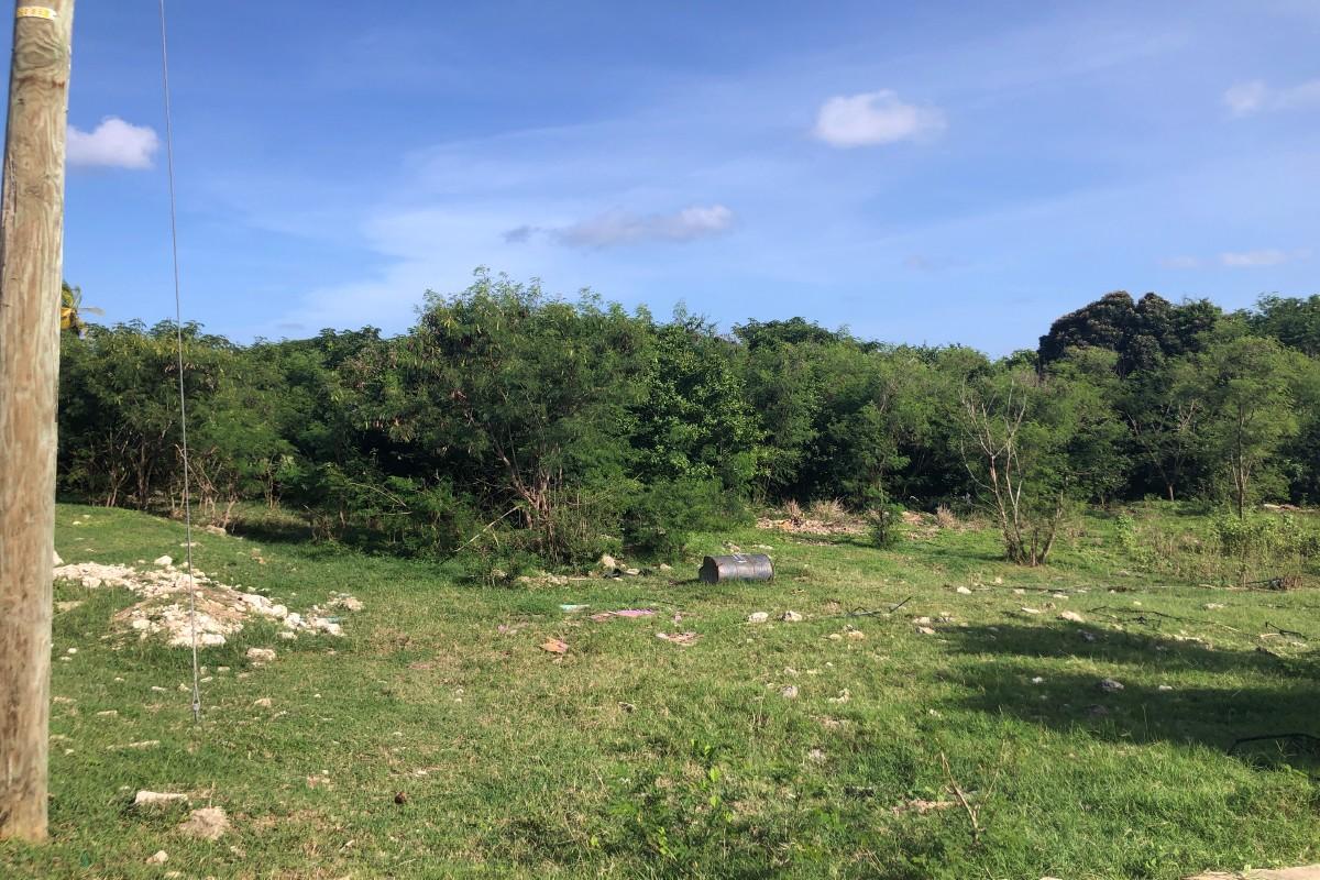 Two residential lots for sale in St Philip, Barbados — photo 5