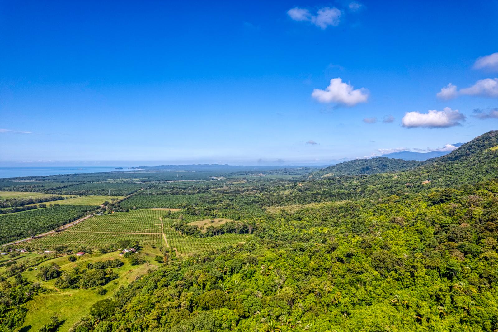 17.2 Acres of Ocean-View Land for Sale — photo 5