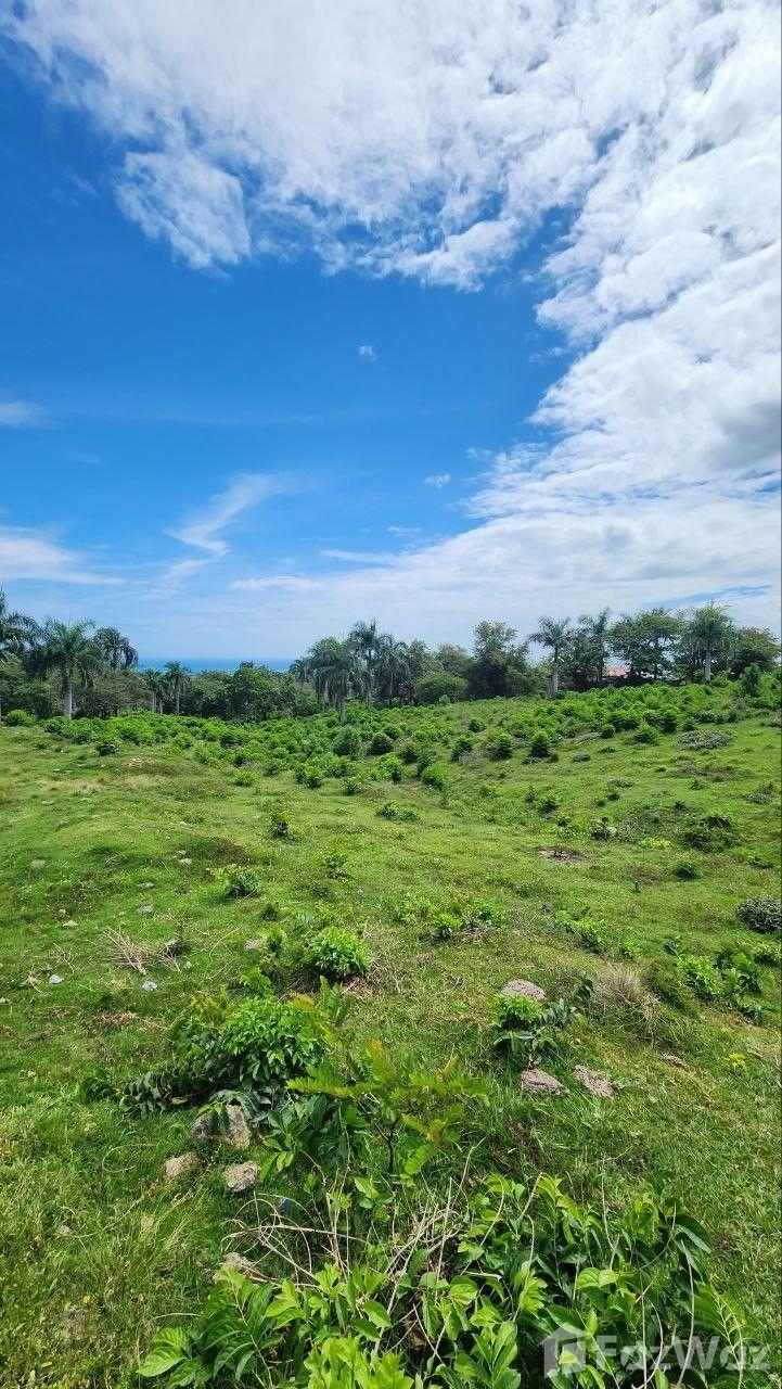 10,000 SqM Land Plot for Sale in San Felipe De Puerto Plata, Dominican Republic — photo 4