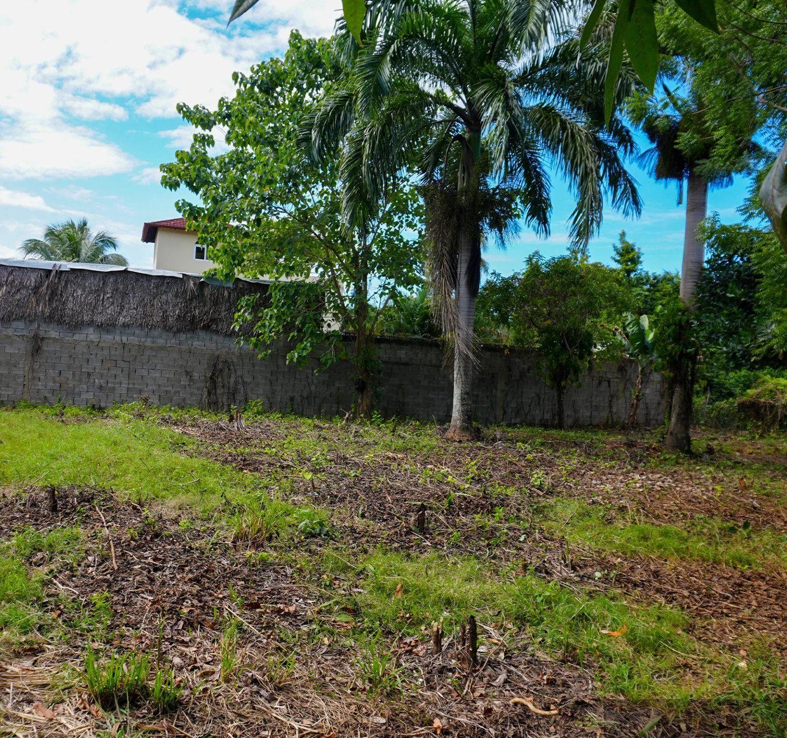 Land for Sale in Sosúa on Camino Llibre Near the Beach — photo 2