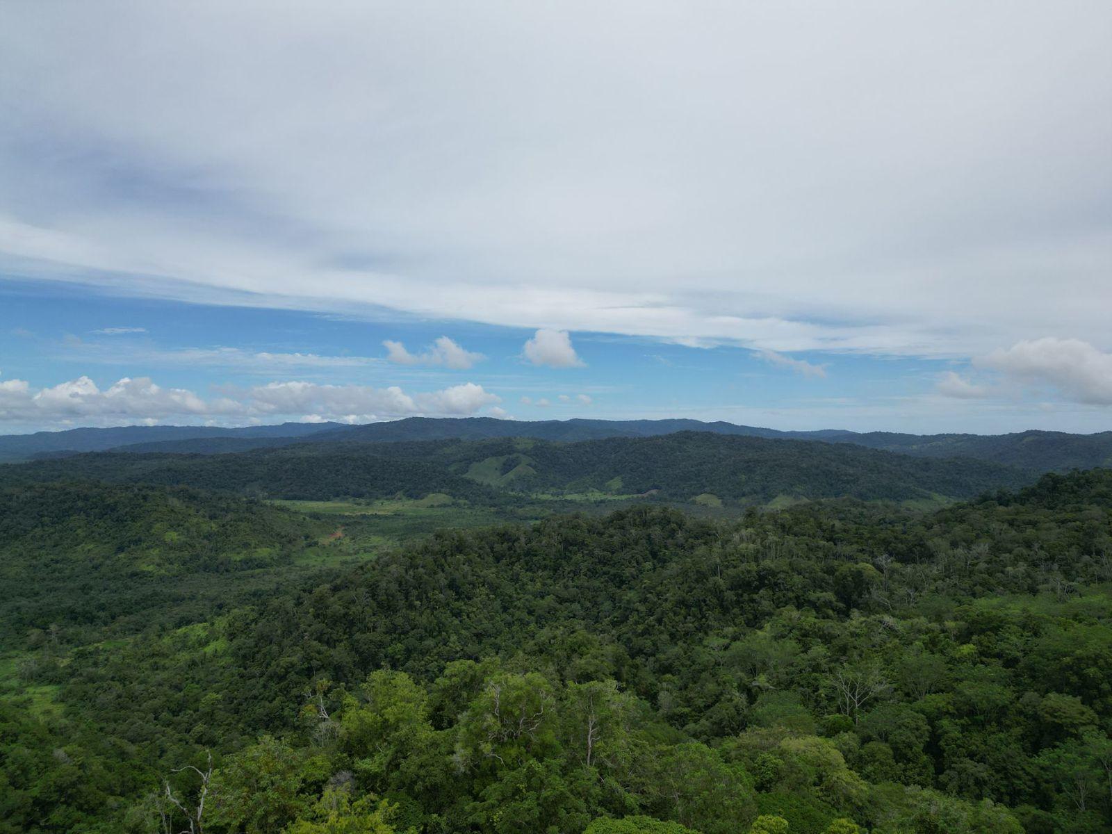 374 Acres of Land for Sale, Osa Peninsula — photo 5